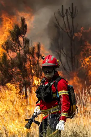 Município do Fundão assume custos adicionais de água nas zonas afetadas por incêndios